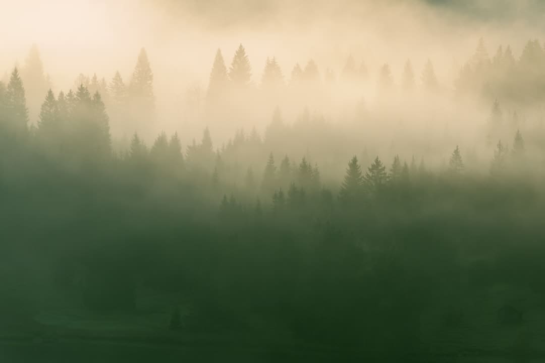 https://img3.utuku.imgcdc.com/628x0/ent/20250905/829358b9-f78a-4637-a189-7c2b91698615.jpg